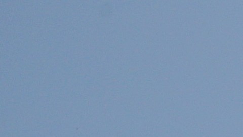 Coronavirus en cruceros