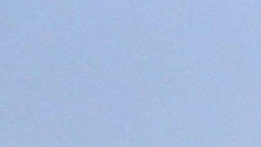 Sin gente y en campos de primavera como propuesta para inicio de temporada de Ligas Mayores.