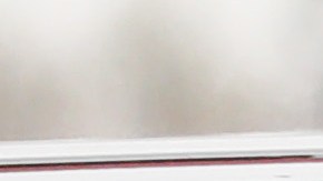 Fauci espera que Nueva York siga pronto la misma dinámica que Italia.