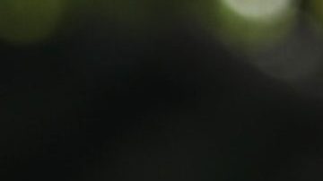 Protección a trabajadores