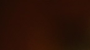 Constellation Brands cerveza corona México COVID-19 coronavirus