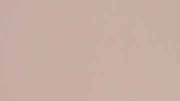 Los Bucs defienden su título de la NFL.