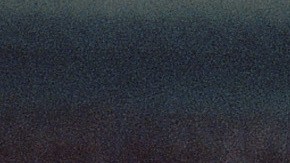 El 'Toro de Etchohuaquila' cautivó a la afición de los Dodgers desde el comienzo.