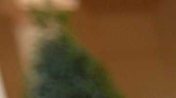 GOYA donación alimentos COVID-19 coronavirus mascarillas