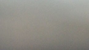 Ripken y sus aliados apoyarán en un principio con $250 mil dólares.