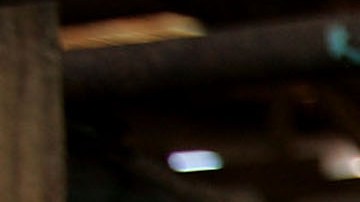 Leche coronavirus COVID-19 Winsconsin queso precio ganaderos