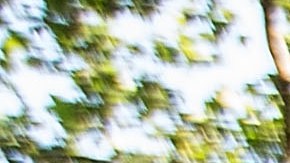 New Survey Names Brooklyn As Most Unaffordable Place To Live In U.S.