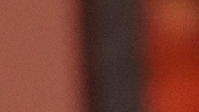 La dupla violó la orden de distanciamiento social aplicada en Texas.