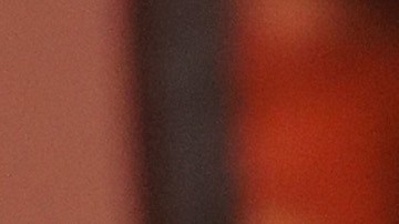 La dupla violó la orden de distanciamiento social aplicada en Texas.