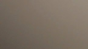 Sus compañeros están devastados ante la noticia de su pérdida por coronavirus.