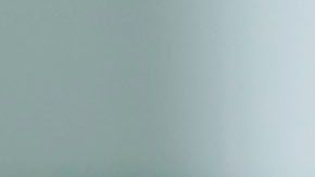 La pareja surcoreana se declaró culpable ante un gran jurado de Queens.