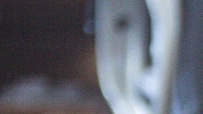 Los signos que aman a los animales.