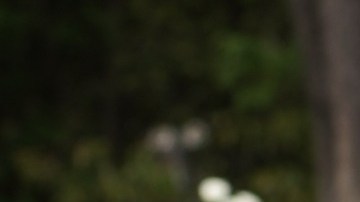 Los abrazos entre menores y ancianos deben ser breves.