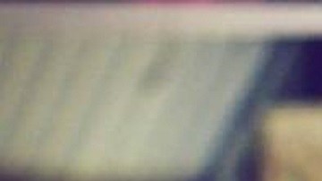 hot tea-foto-jiah_ali