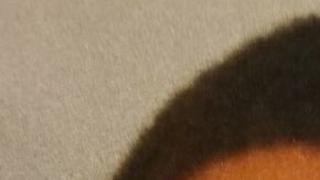 Darby Shirden y Shaquan Rush