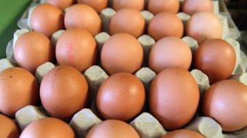 Precio de los huevos en Estados Unidos