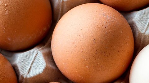 precio de los huevos en Estados Unidos