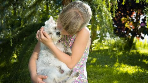 A los perros no les gustan los abrazos porque se sienten amenazados.