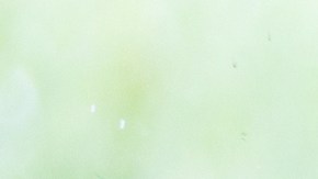 Usar gestos en la enseñanza es fundamental.