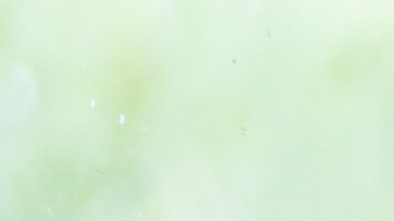 Usar gestos en la enseñanza es fundamental.