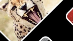 Quibi llega el 6 de abril.