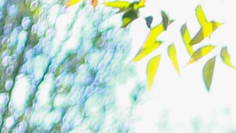 La barra “La Guerrilla” llevó su aportación a hospitales de San Luis.