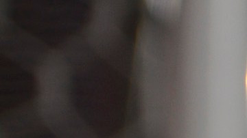 El balón, el ovoide, la pelota y los motores se pararon por la pandemia del coronavirus.