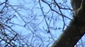 La advertencia sobre distanciamiento social en un parque de Queens.