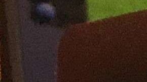 USCIS sugiere revisar constantemente su página web.