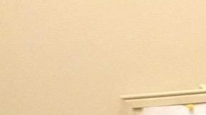 Trabajadora de la limpieza.