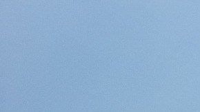 El animal vuela el cometa sin inconvenientes.