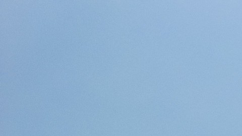 El animal vuela el cometa sin inconvenientes.