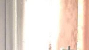 Maribel forma parte del esfuerzo de la organización La Colmena.