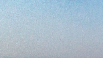 Los informes, accesibles para todo el mundo y en el caso Estados Unidos se puede consultar por cada uno de los estados.