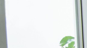 La entrada de luz solar y aire fresco a tu hogar es benéfico para tu salud.