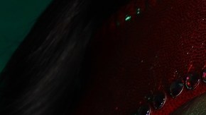 Lady Shani será parte del elenco de la empresa que participará en el torneo.