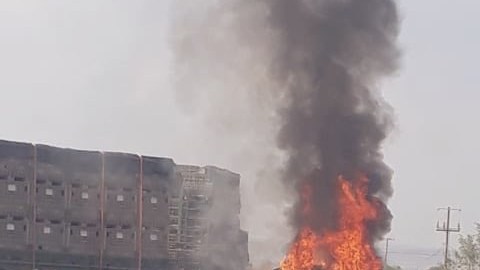 Violencia en Guanajuato.