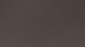 El perro enfermo es un pug.