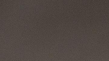 El perro enfermo es un pug.