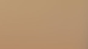 Melissa González era una hispana de 22 años que iba a ir a la escuela de leyes.