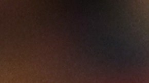 memphis depay ligre mascota