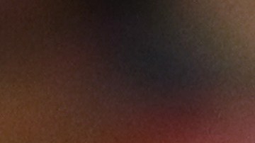 memphis depay ligre mascota