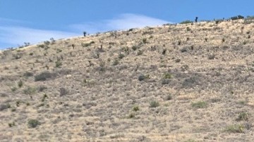 migrantes mascarillas