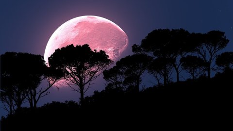 Será la Luna más brillante del año.