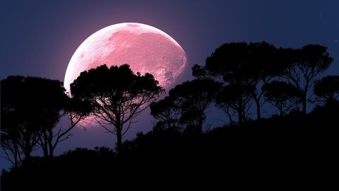 Será la Luna más brillante del año.