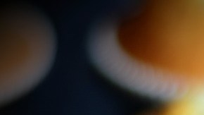 muffins-congerdesign en Pixabay