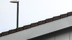 Aldi tiene muy buenos precios, pero este no es motivo suficiente para comprar todo ahí.