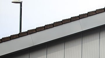 Aldi tiene muy buenos precios, pero este no es motivo suficiente para comprar todo ahí.