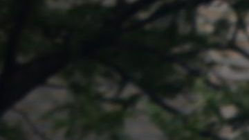 Varios oficiales del NYPD respondieron al aviso junto a los servicios de emergencia