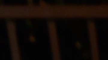 paige vanzant fotos desnuda